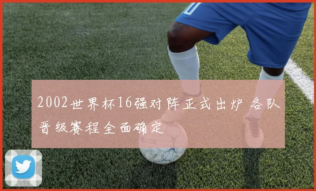 2002世界杯16强对阵正式出炉 各队晋级赛程全面确定