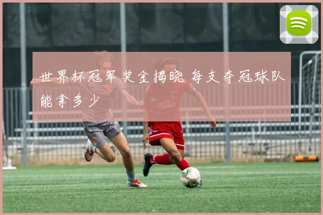 世界杯冠军奖金揭晓 每支夺冠球队能拿多少