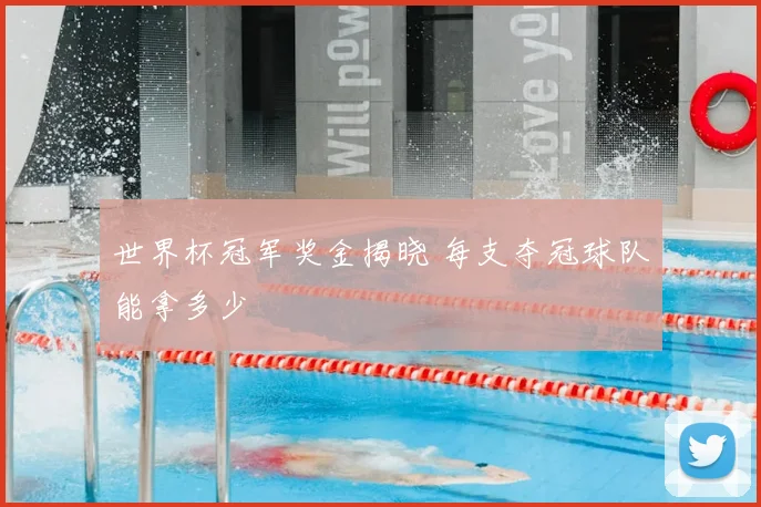 世界杯冠军奖金揭晓 每支夺冠球队能拿多少