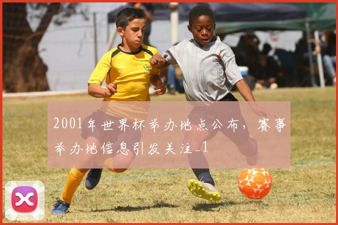 2001年世界杯举办地点公布,赛事举办地信息引发关注_1
