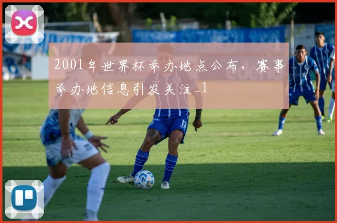 2001年世界杯举办地点公布,赛事举办地信息引发关注_1