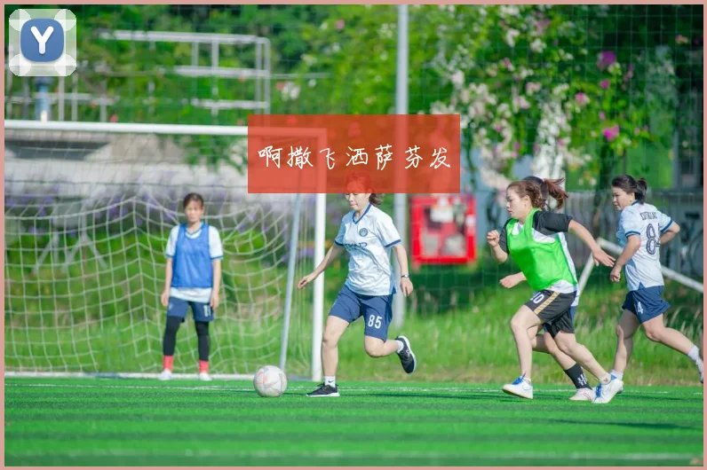 2018世界杯决赛：法国与克罗地亚争夺冠军荣誉